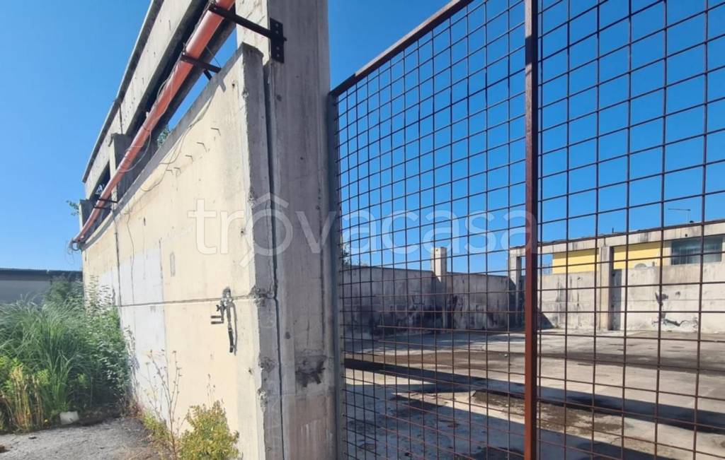 immagine annuncio 4 di 10