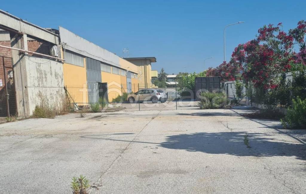 immagine annuncio 5 di 10