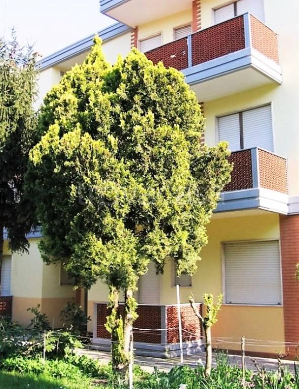 immagine annuncio 4 di 11