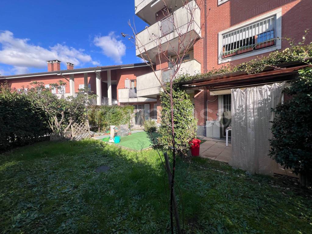 immagine annuncio 11 di 15