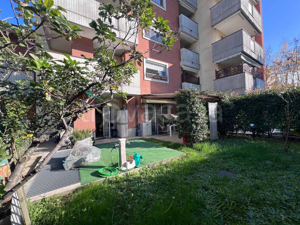 immagine annuncio 12 di 15