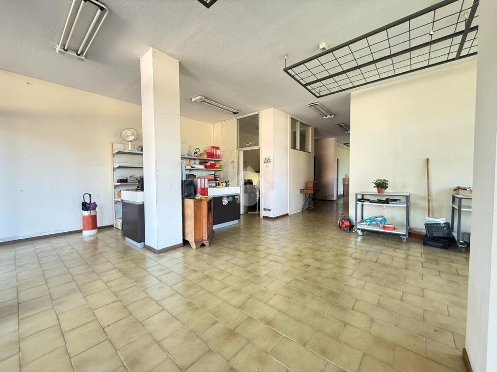 immagine annuncio 1 di 14