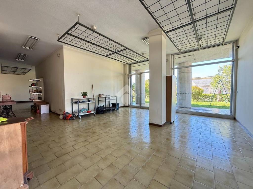 immagine annuncio 2 di 14