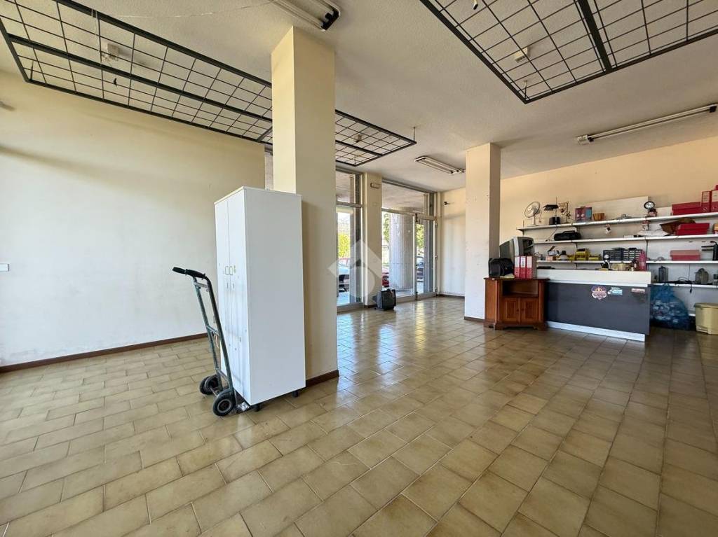 immagine annuncio 6 di 14