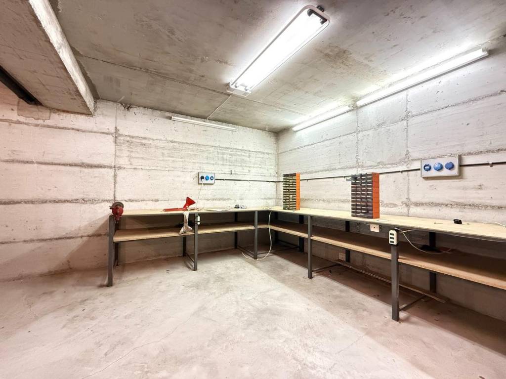 immagine annuncio 11 di 14