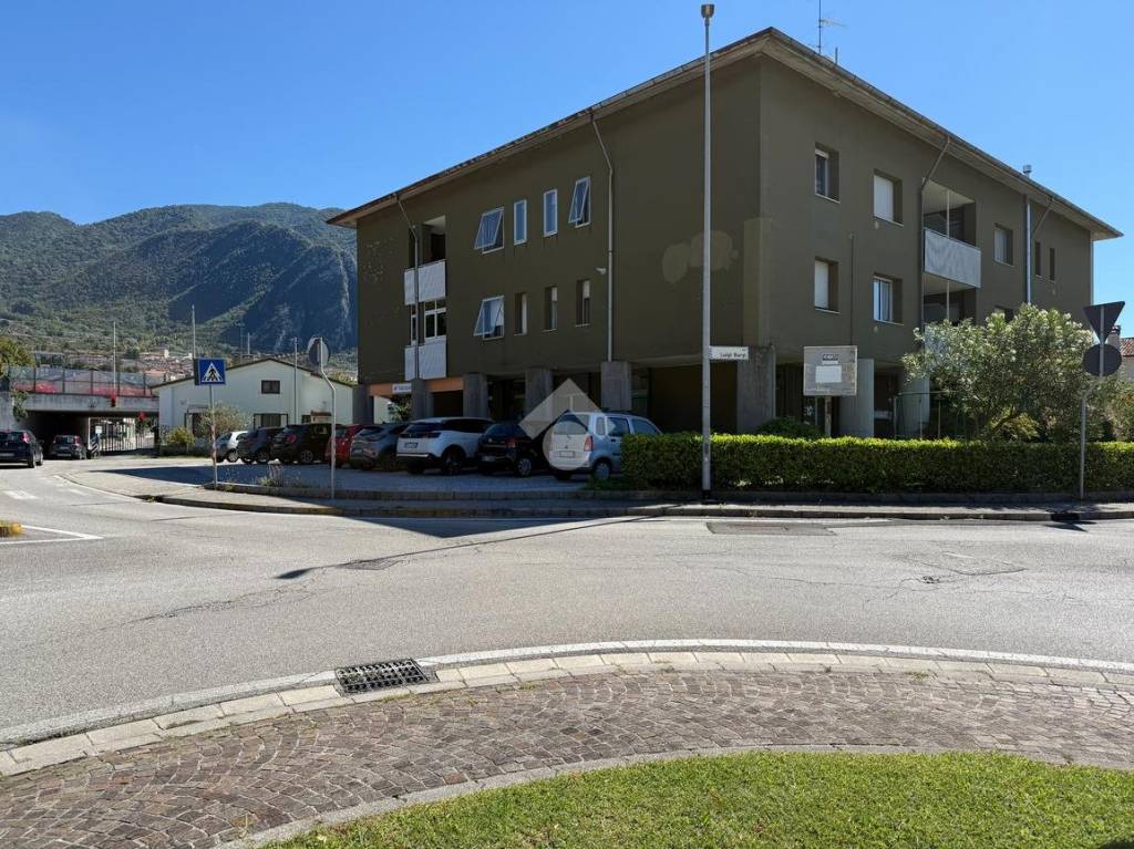 immagine annuncio 12 di 14