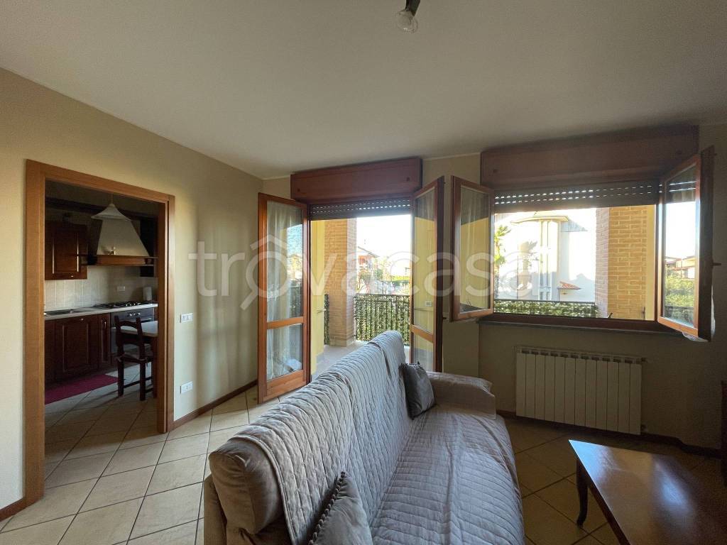 immagine annuncio 1 di 15