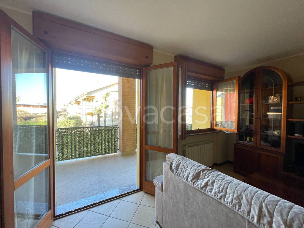 immagine annuncio 3 di 15