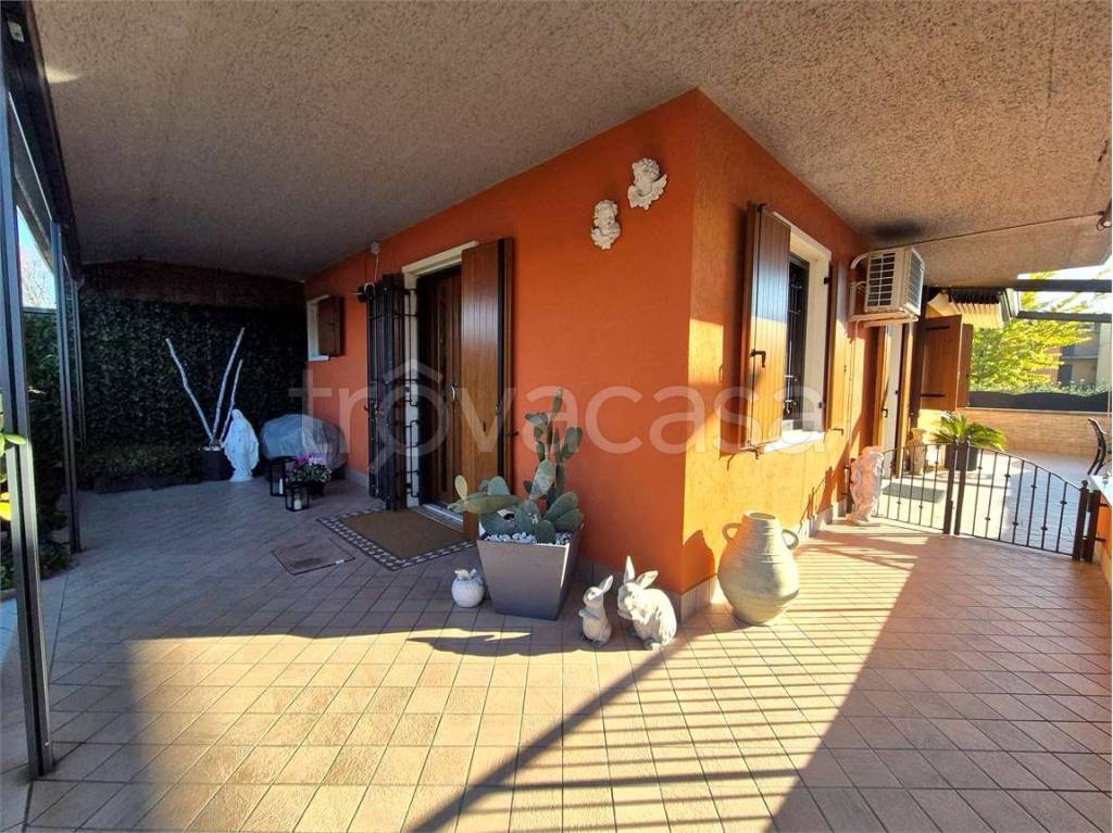 immagine annuncio 5 di 15