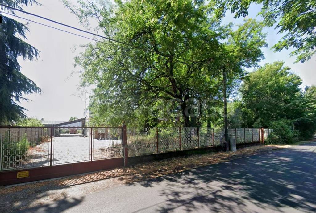 immagine annuncio 2 di 12