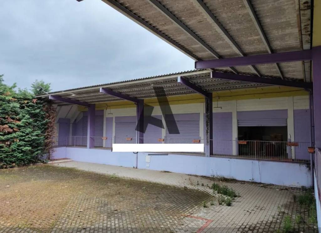 immagine annuncio 4 di 12