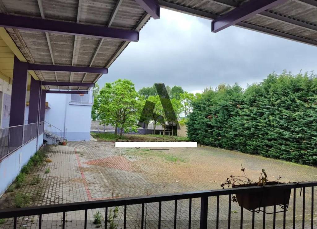 immagine annuncio 5 di 12