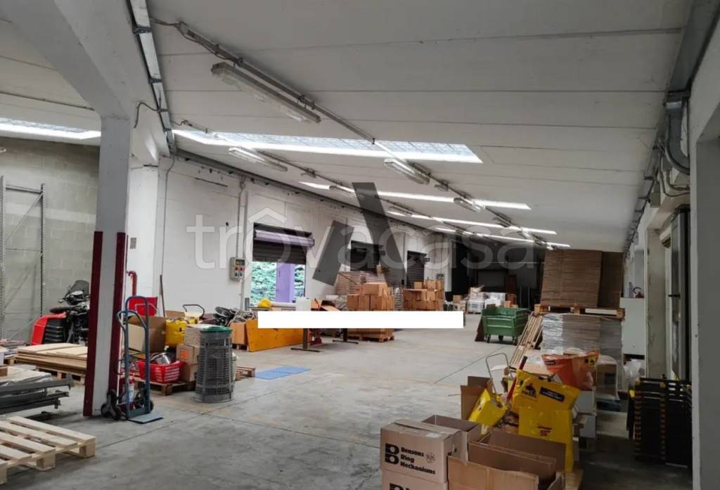 immagine annuncio 6 di 12