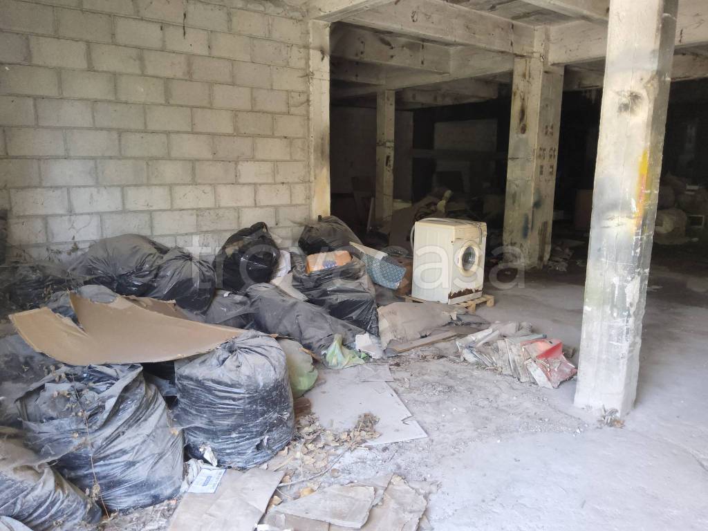 immagine annuncio 3 di 13