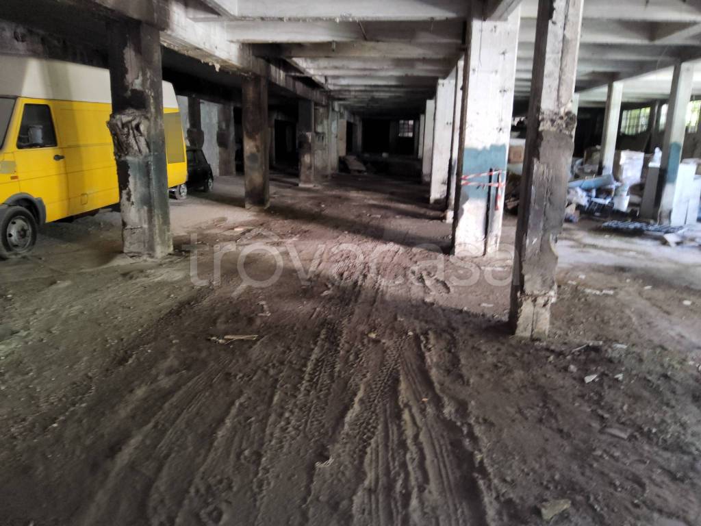 immagine annuncio 4 di 13