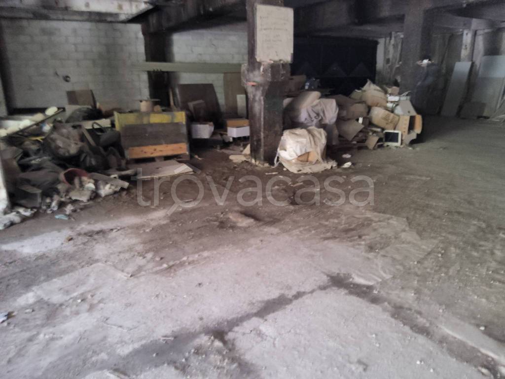 immagine annuncio 5 di 13