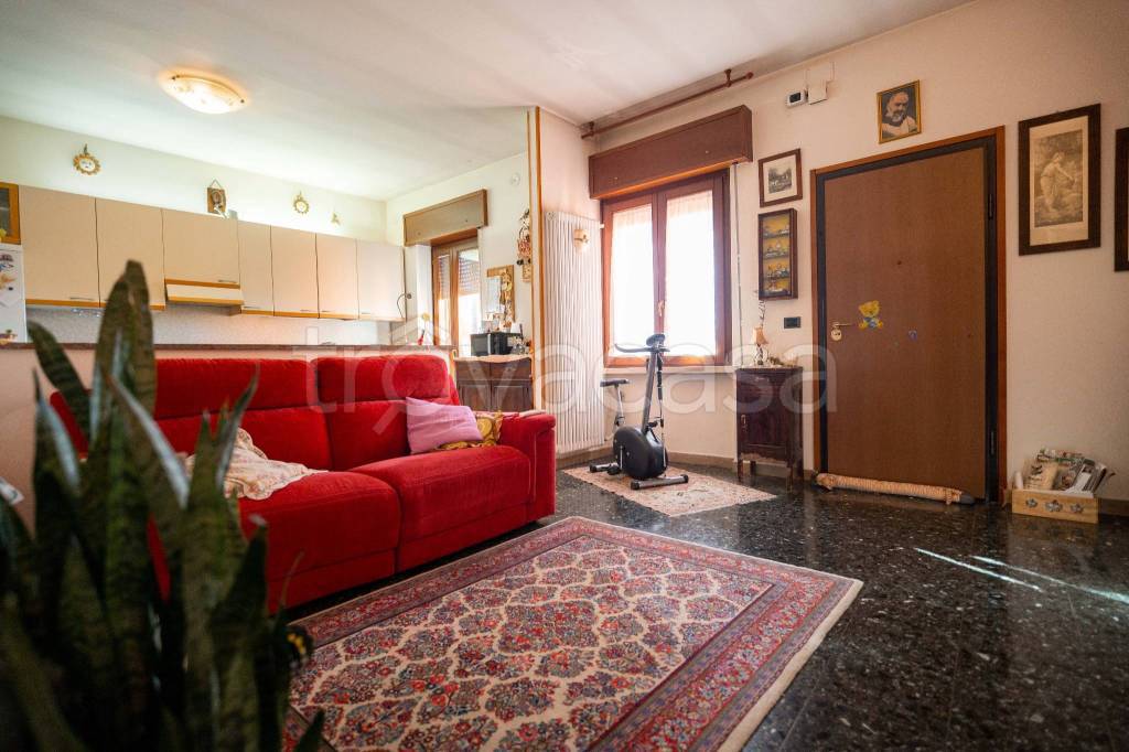 immagine annuncio 9 di 15