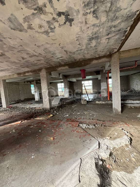 immagine annuncio 2 di 12