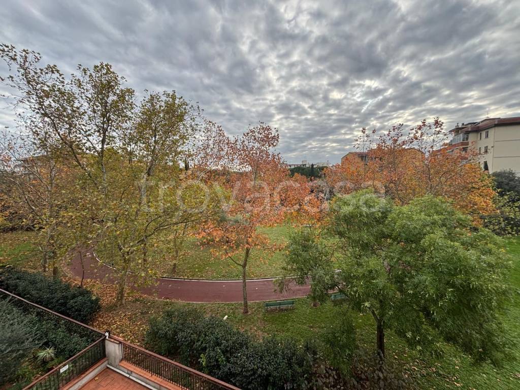 immagine annuncio 2 di 14