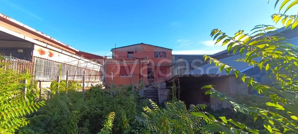 immagine annuncio 1 di 2