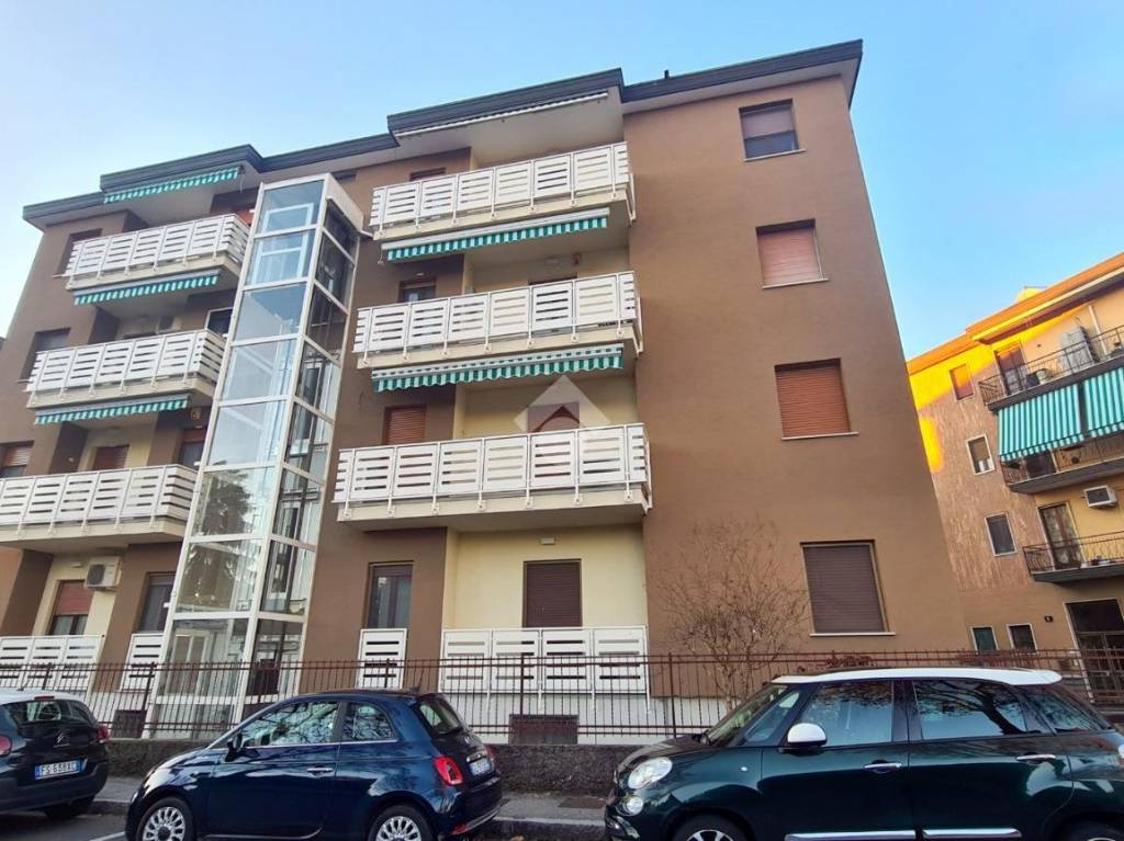 immagine annuncio 5 di 15