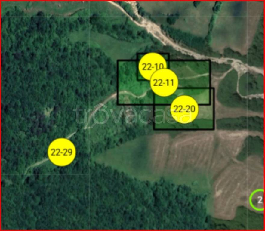 immagine annuncio 11 di 12