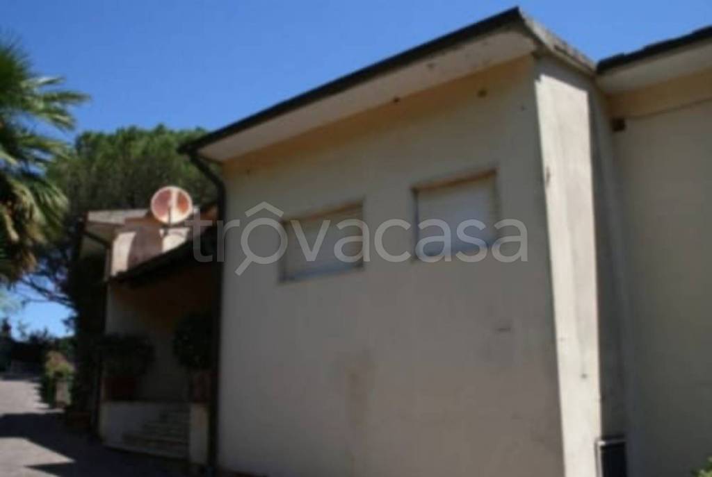 immagine annuncio 8 di 14