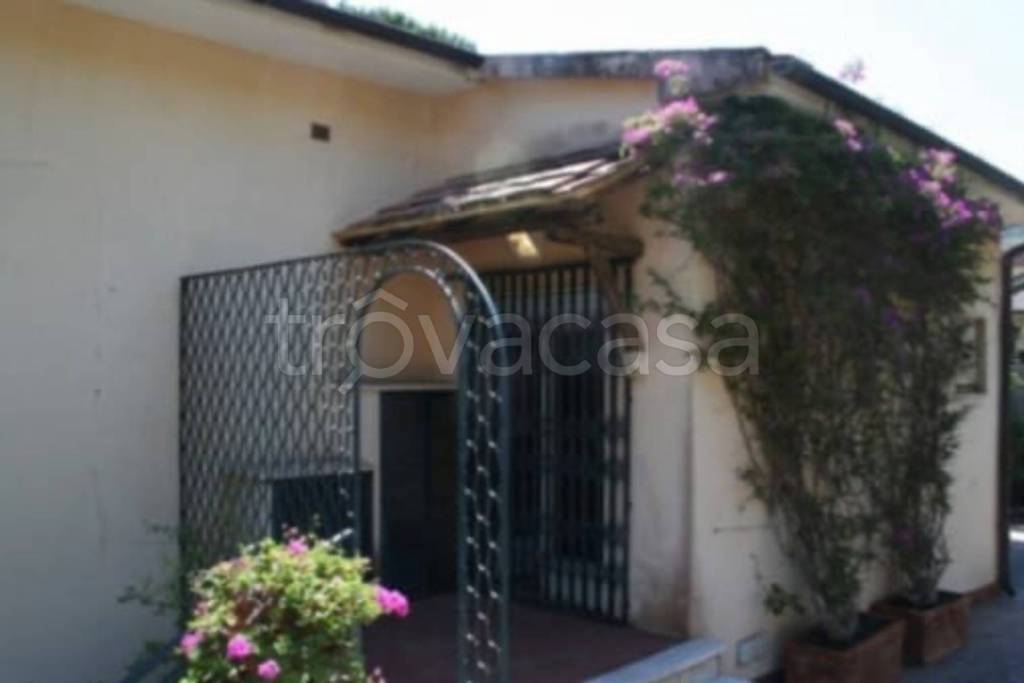 immagine annuncio 9 di 14