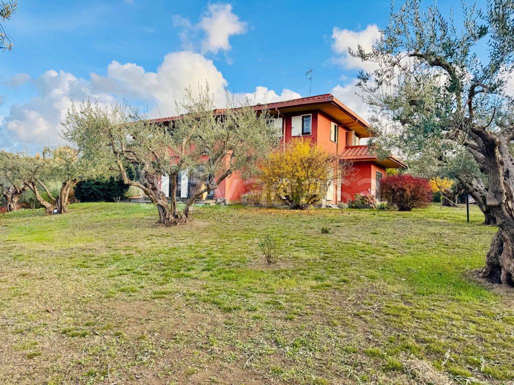 immagine annuncio 7 di 15