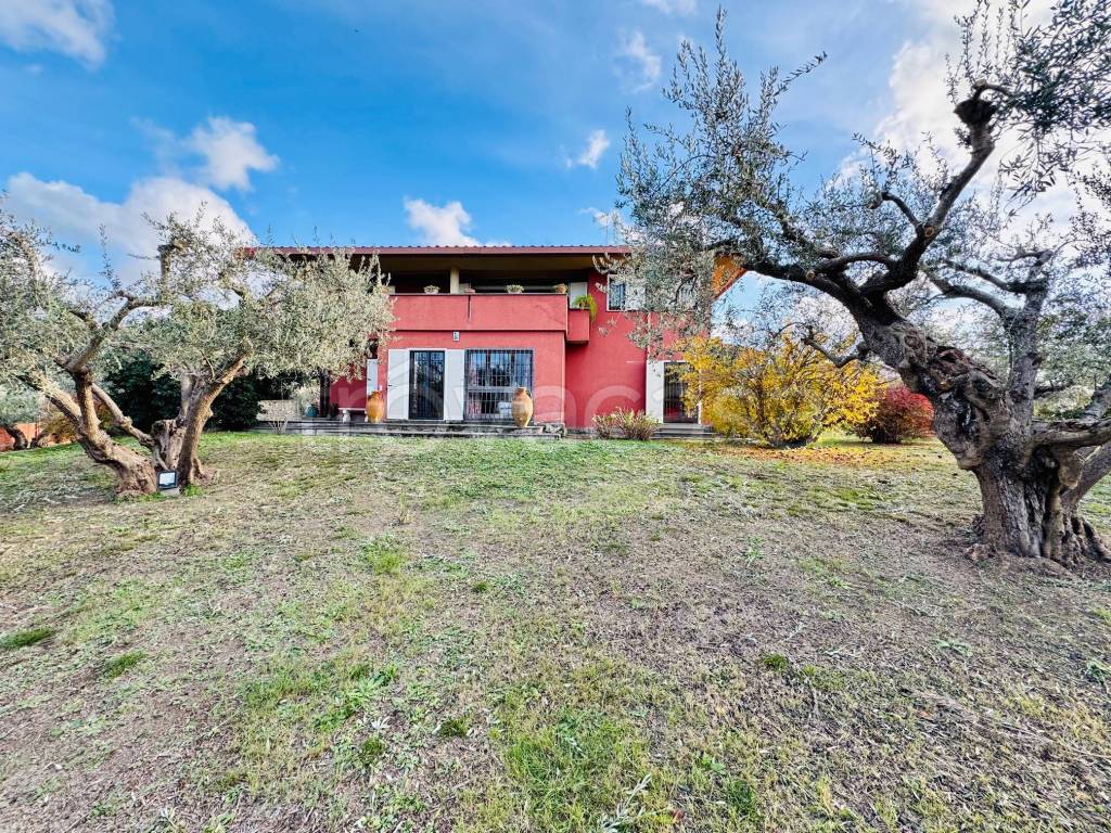 immagine annuncio 8 di 15