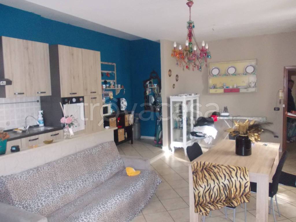 immagine annuncio 1 di 11