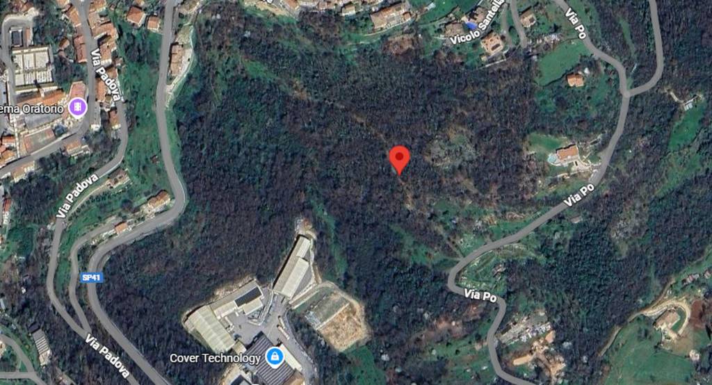 immagine annuncio 3 di 10