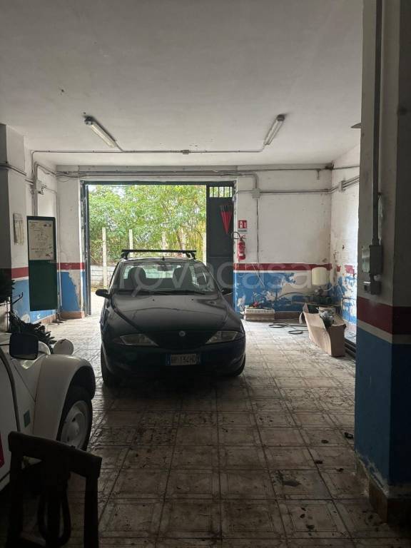 immagine annuncio 4 di 14