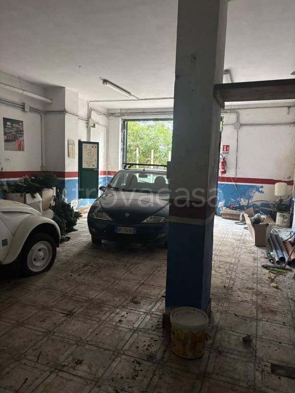 immagine annuncio 6 di 14