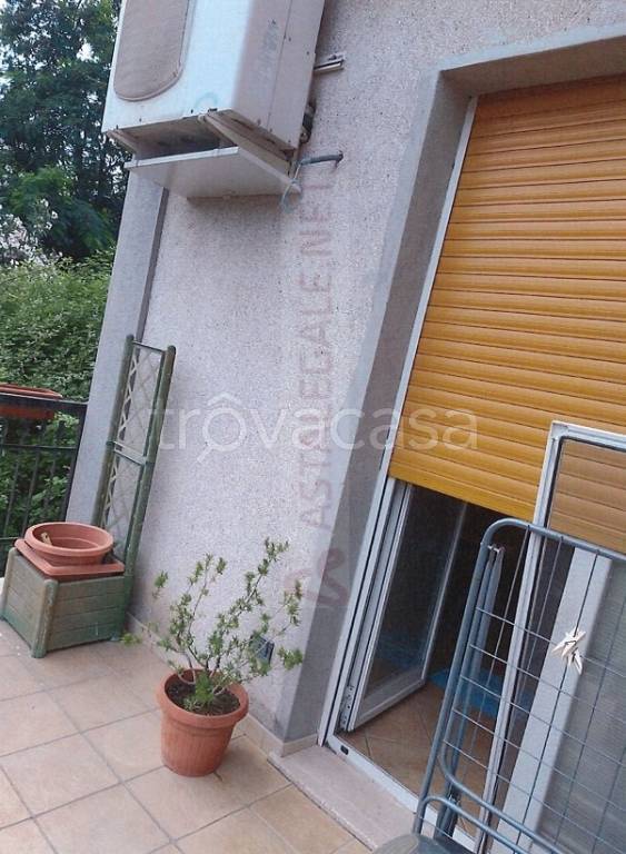 immagine annuncio 12 di 13