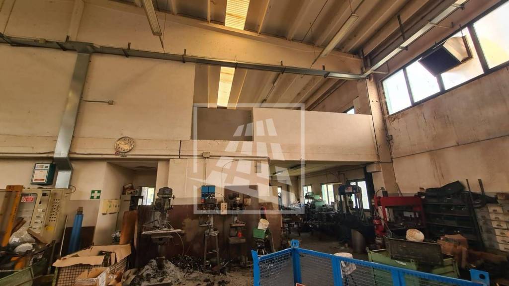 immagine annuncio 6 di 15