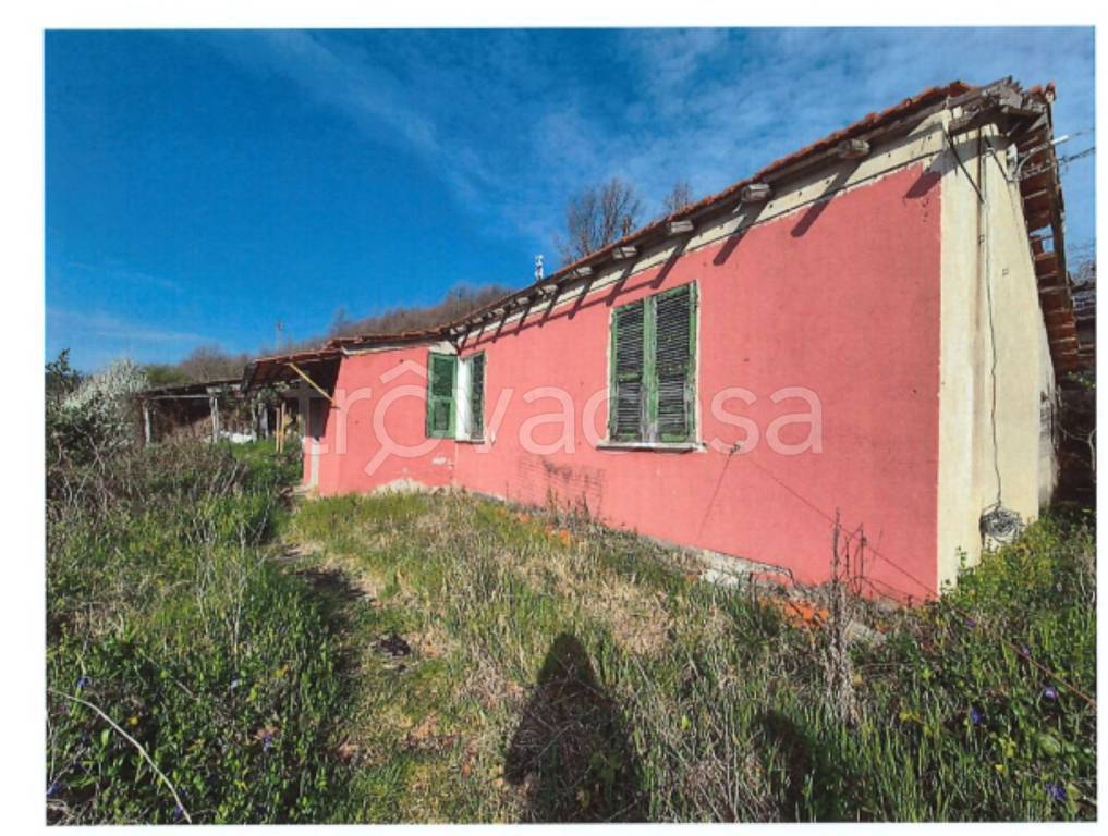 immagine annuncio 2 di 11