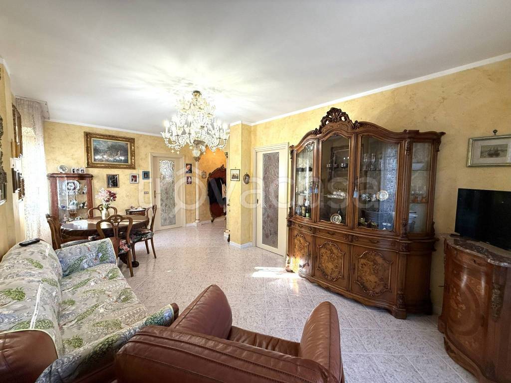 immagine annuncio 3 di 14