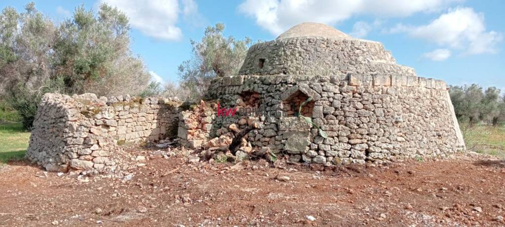 immagine annuncio 5 di 7