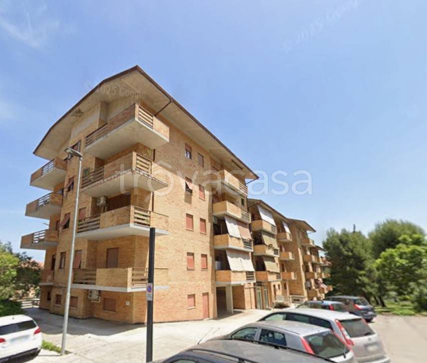 immagine annuncio 2 di 12