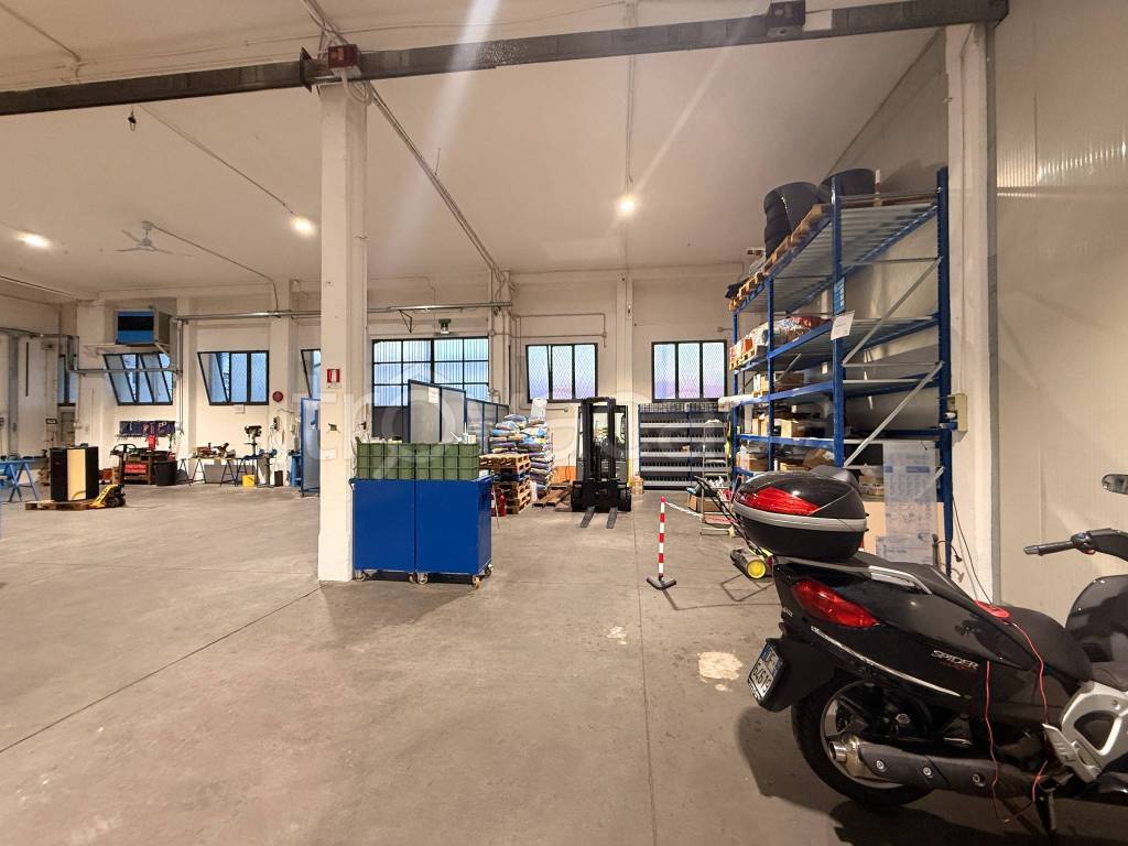 immagine annuncio 3 di 15