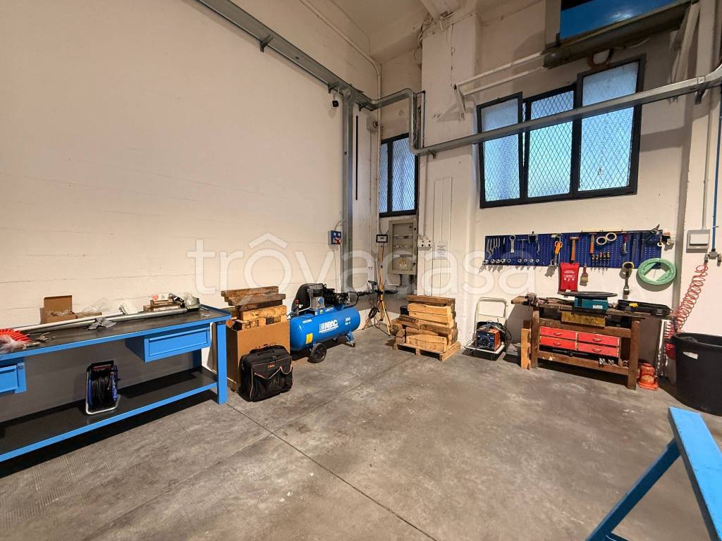 immagine annuncio 6 di 15