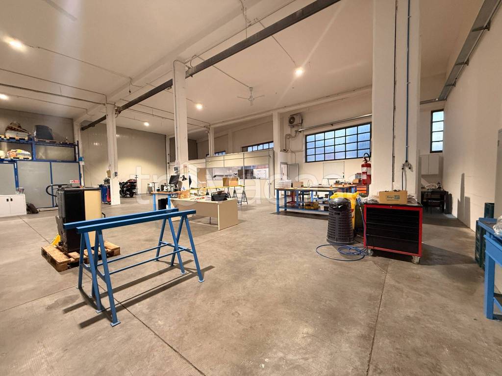 immagine annuncio 9 di 15