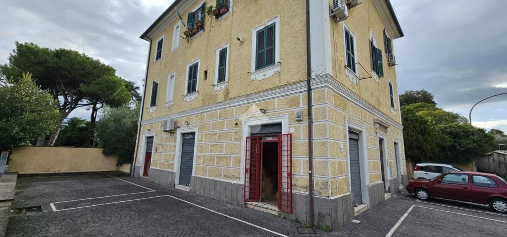 immagine annuncio 2 di 6