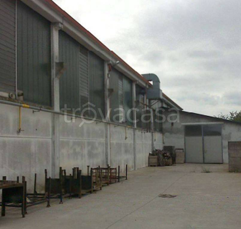 immagine annuncio 4 di 11