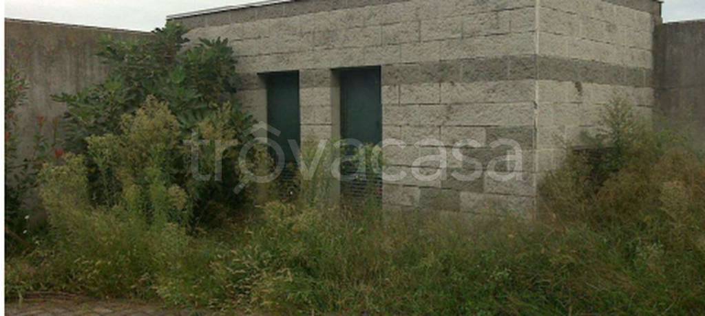 immagine annuncio 9 di 11