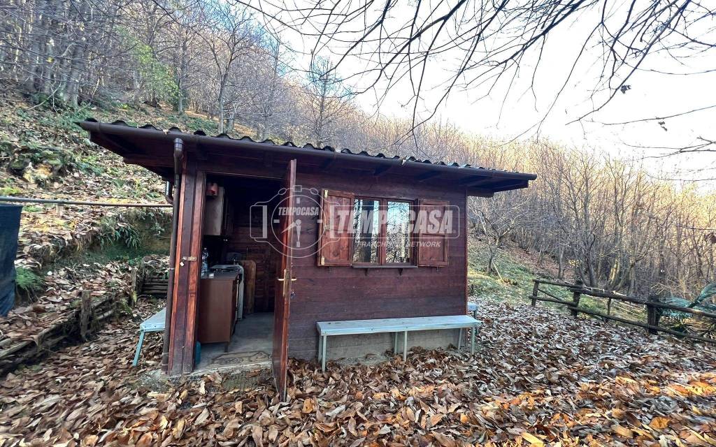 immagine annuncio 2 di 11