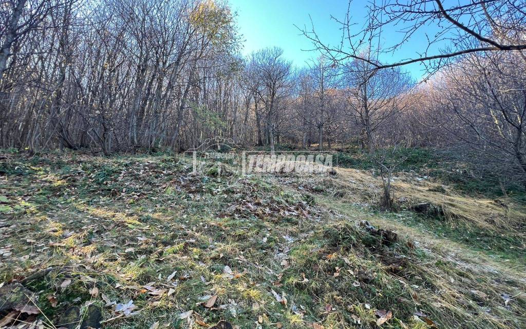 immagine annuncio 5 di 11