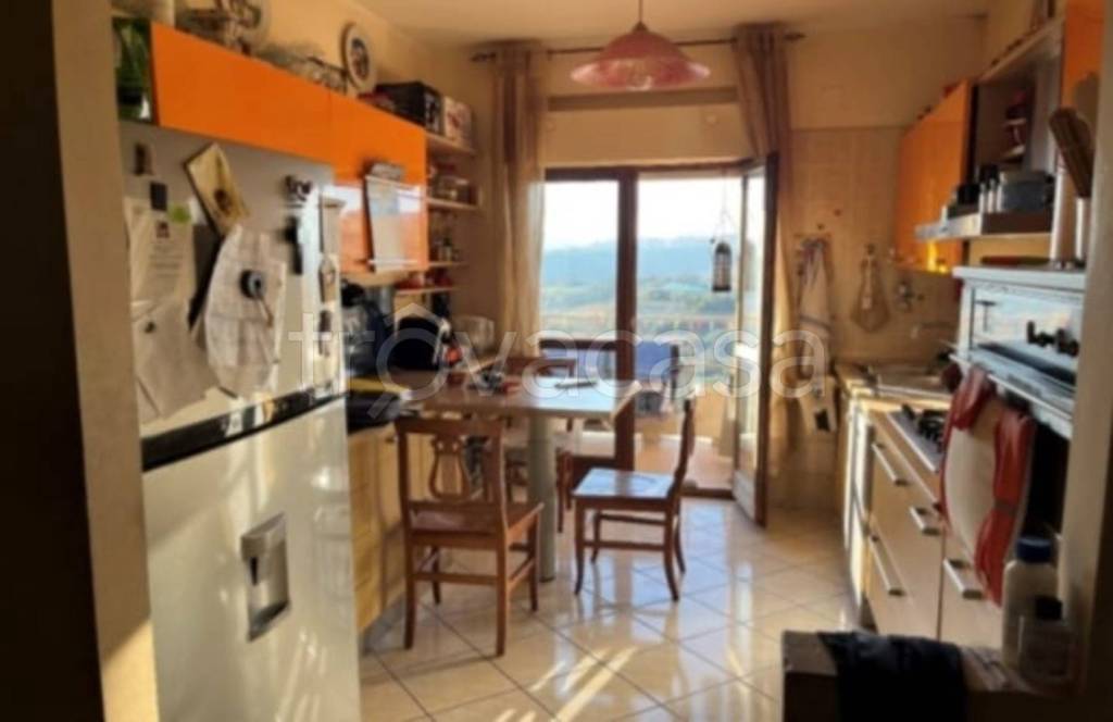 immagine annuncio 12 di 14