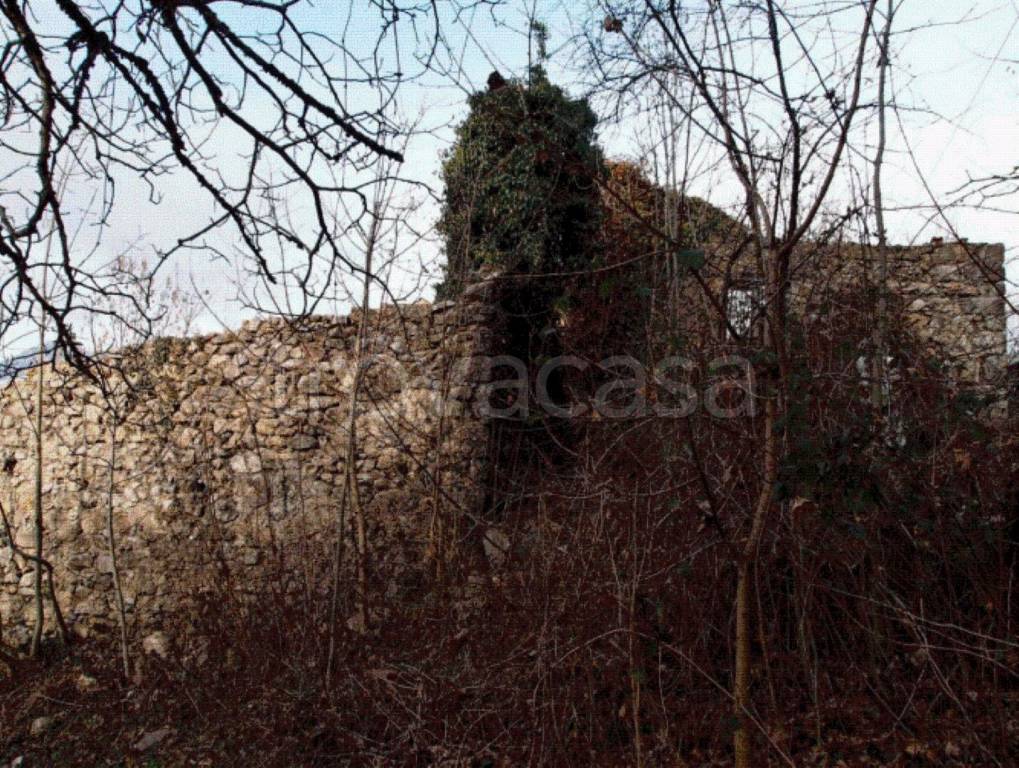 immagine annuncio 4 di 12